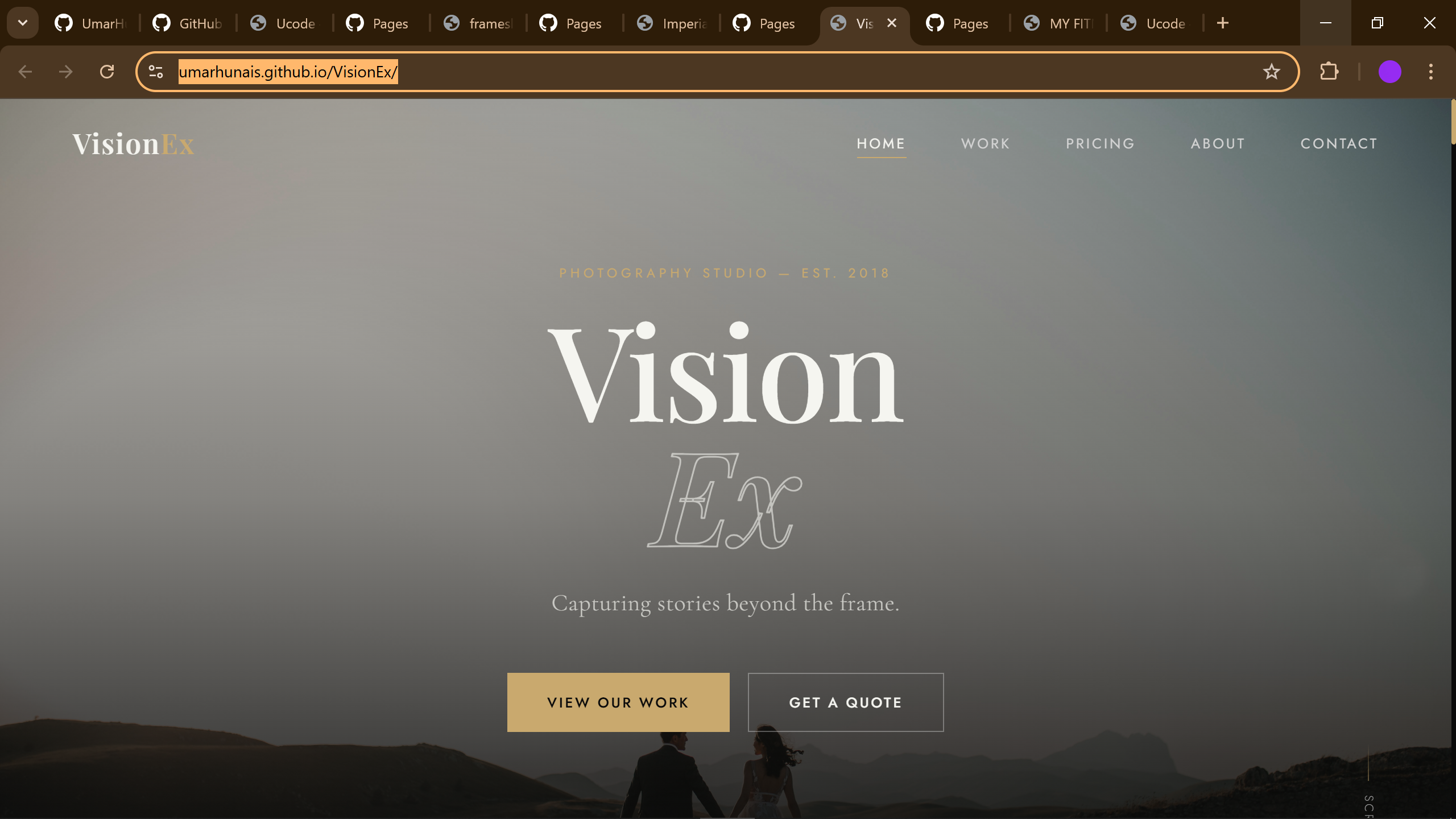 VisionEx Preview