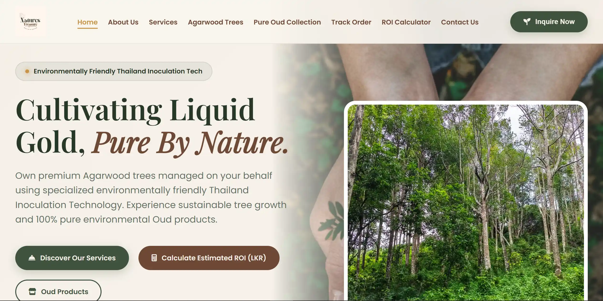 Nature's Treasure Website Landing Page